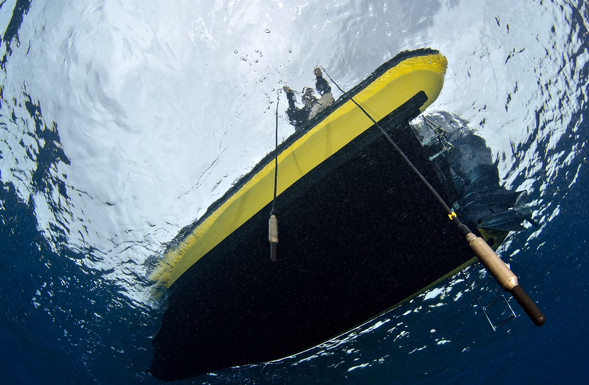 A glimpse of Jana Winderen's project "The Art of Listening: Under Water".