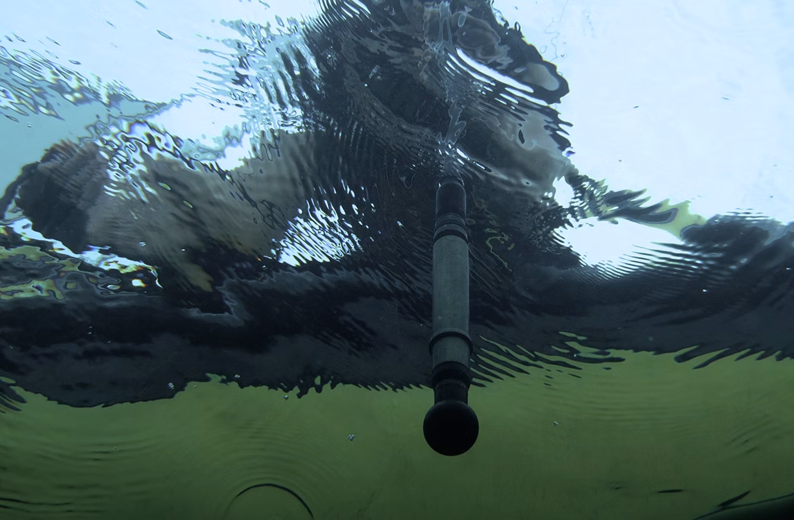 A glimpse of Jana Winderen's project "The Art of Listening: Under Water".
