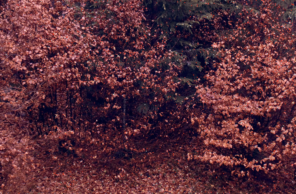 Rappresentazione di Quayola delle foreste della Vallée de Joux
