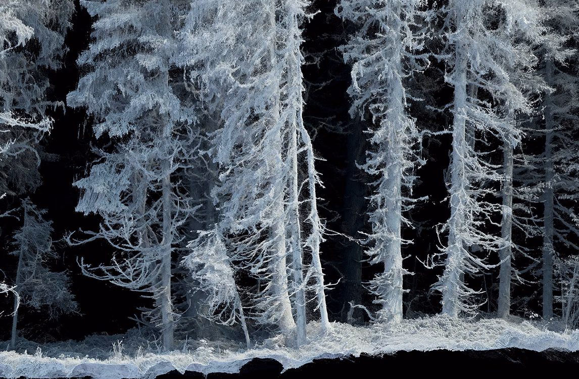 Rappresentazione di Quayola della foresta ghiacciata della Vallée de Joux