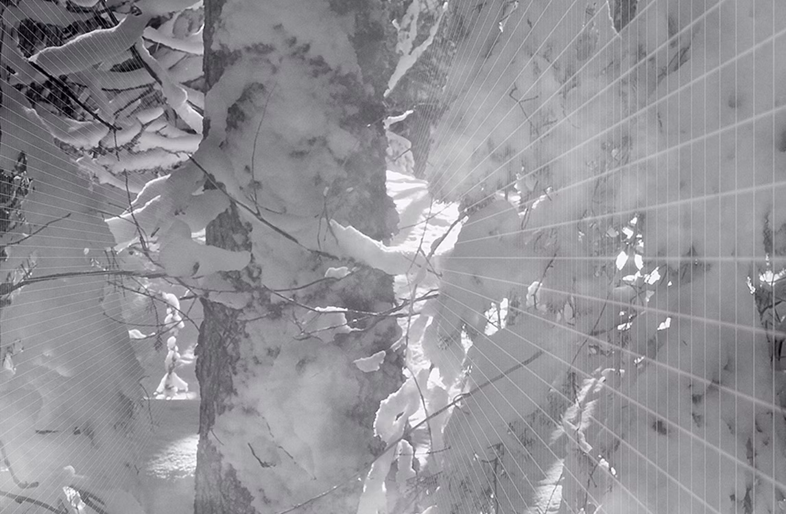 Rappresentazione di Kurt Hentschläger della foresta ghiacciata della Vallée de Joux