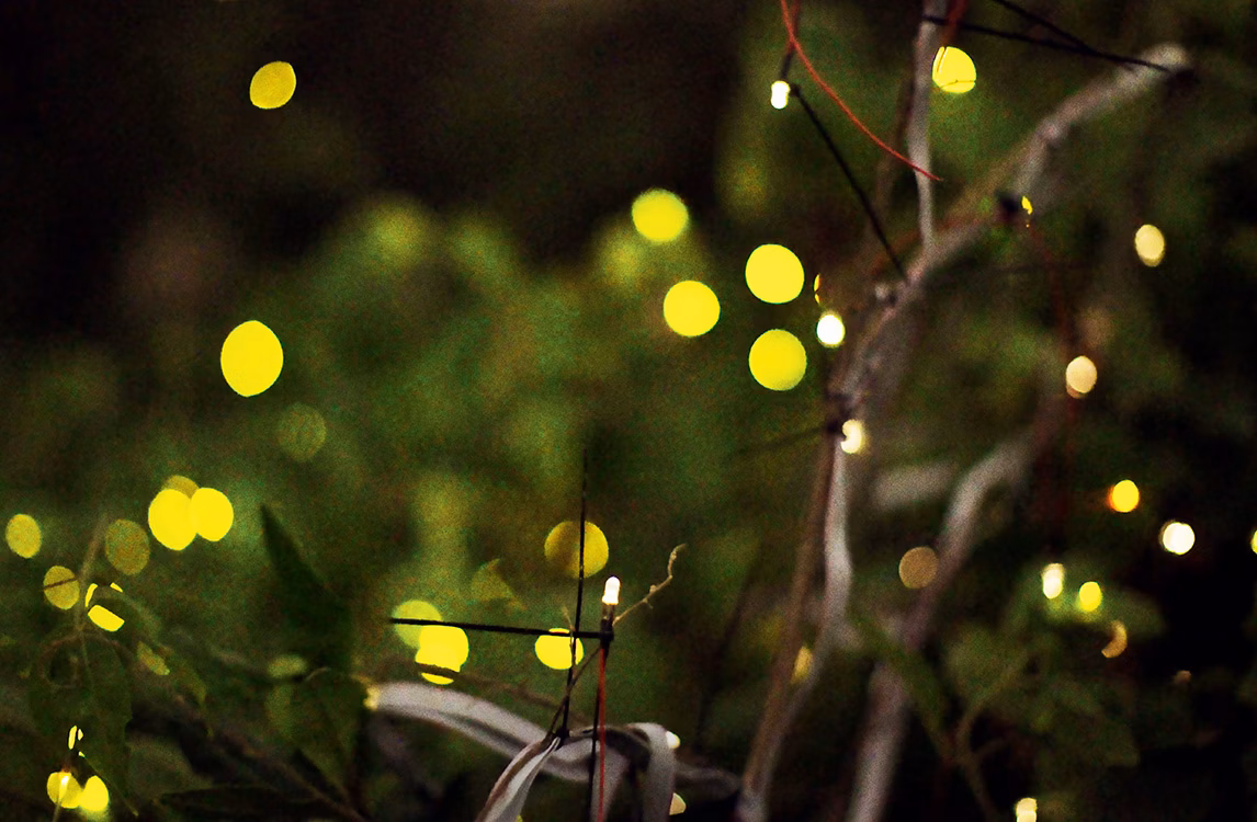 Zoom su un paesaggio come parte di Synchronicity di Robin Meier