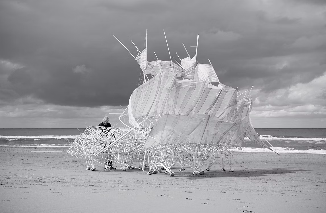 Theo Jansen e i suoi Strandbeests