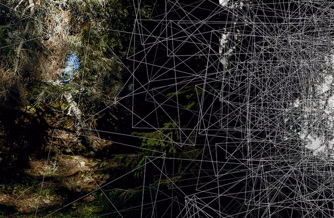 Le forme geometriche astratte di Kurt Hentschläger affiancate al paesaggio di una foresta