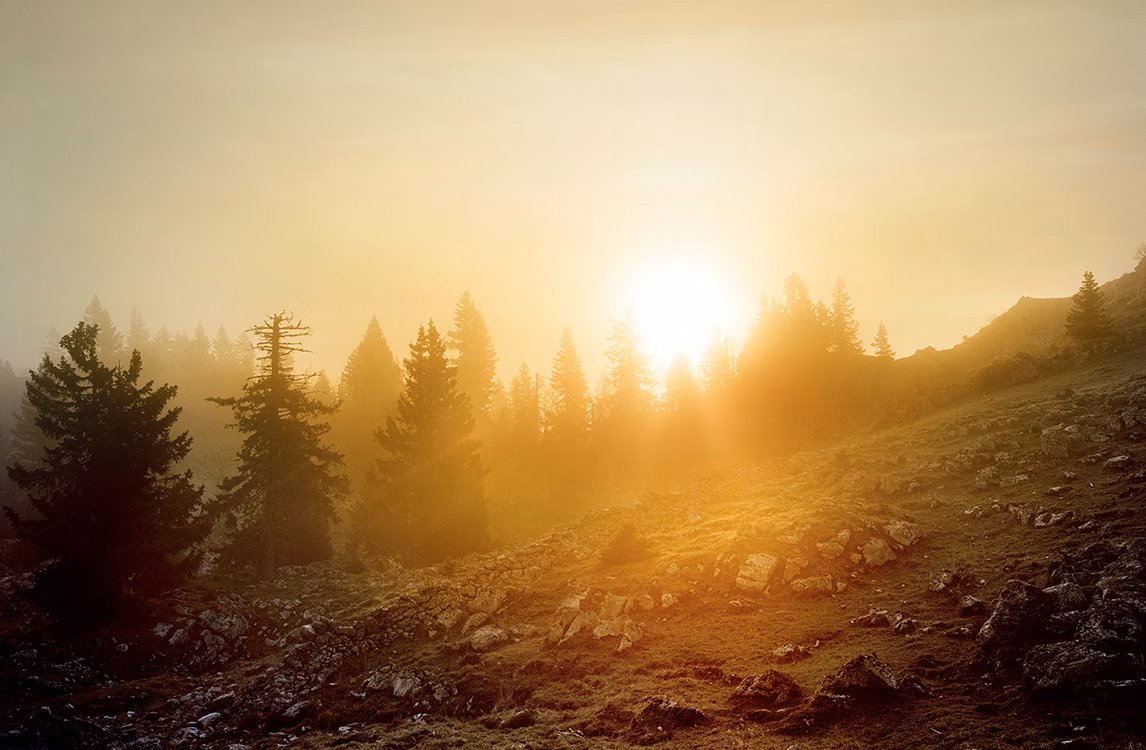 Fotografia di Dan Holdsworth del paesaggio della Vallée de Joux