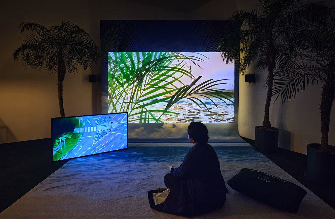 Uno sguardo a Isle of Instability  costituita da uno schermo, da una palma e da una persona seduta a terra