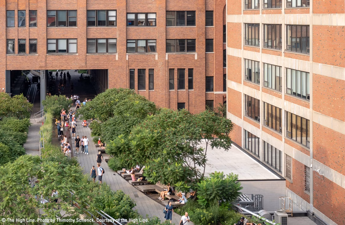 A glimpse of Isle of Instability composed of a screen, a palm tree and a person sitting on the ground