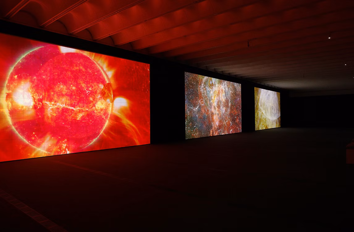 作品にフォーカス。