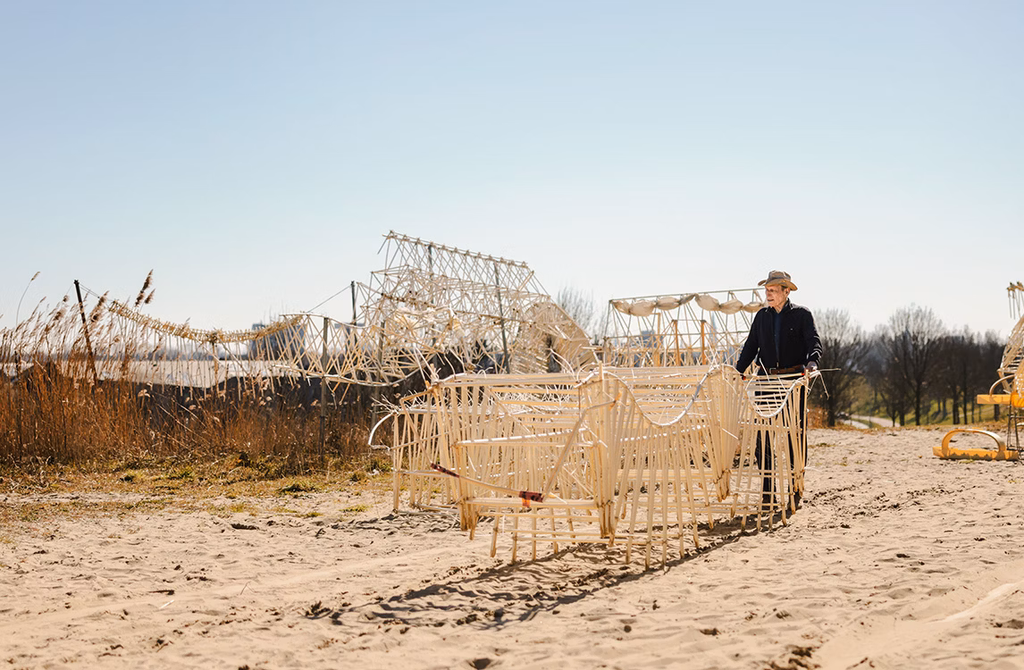 作品にフォーカス。