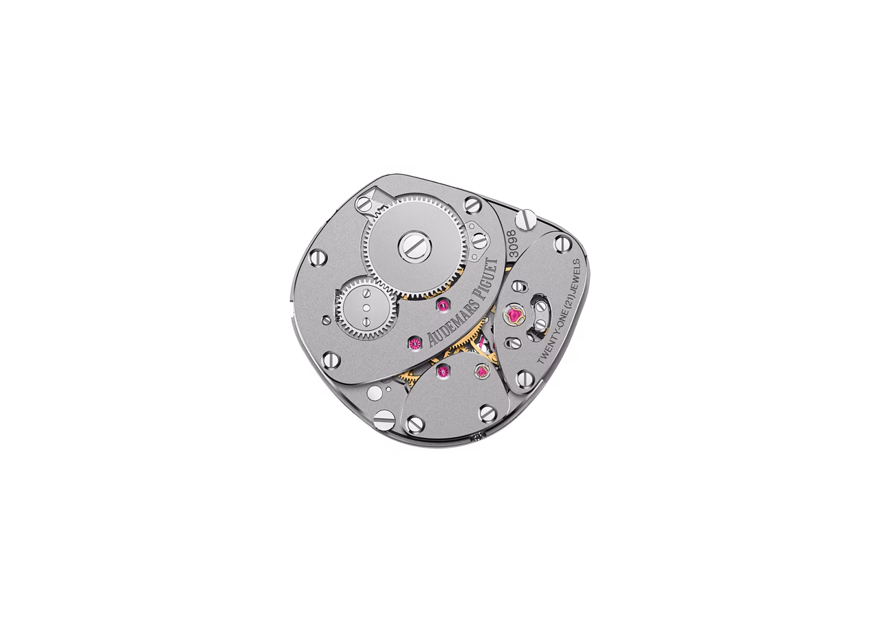 Image de l'arrière du calibre
