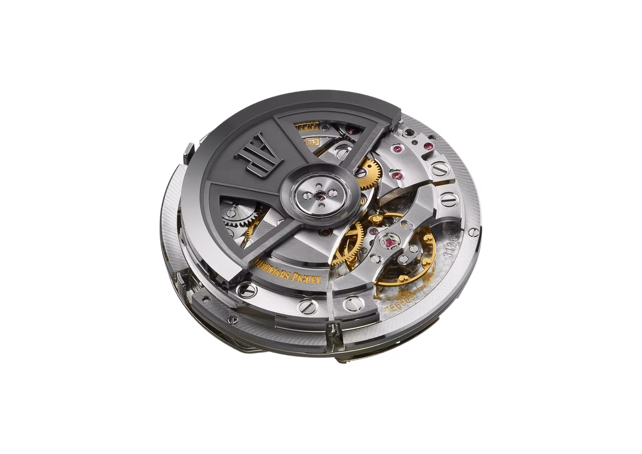 Imagen trasera del calibre