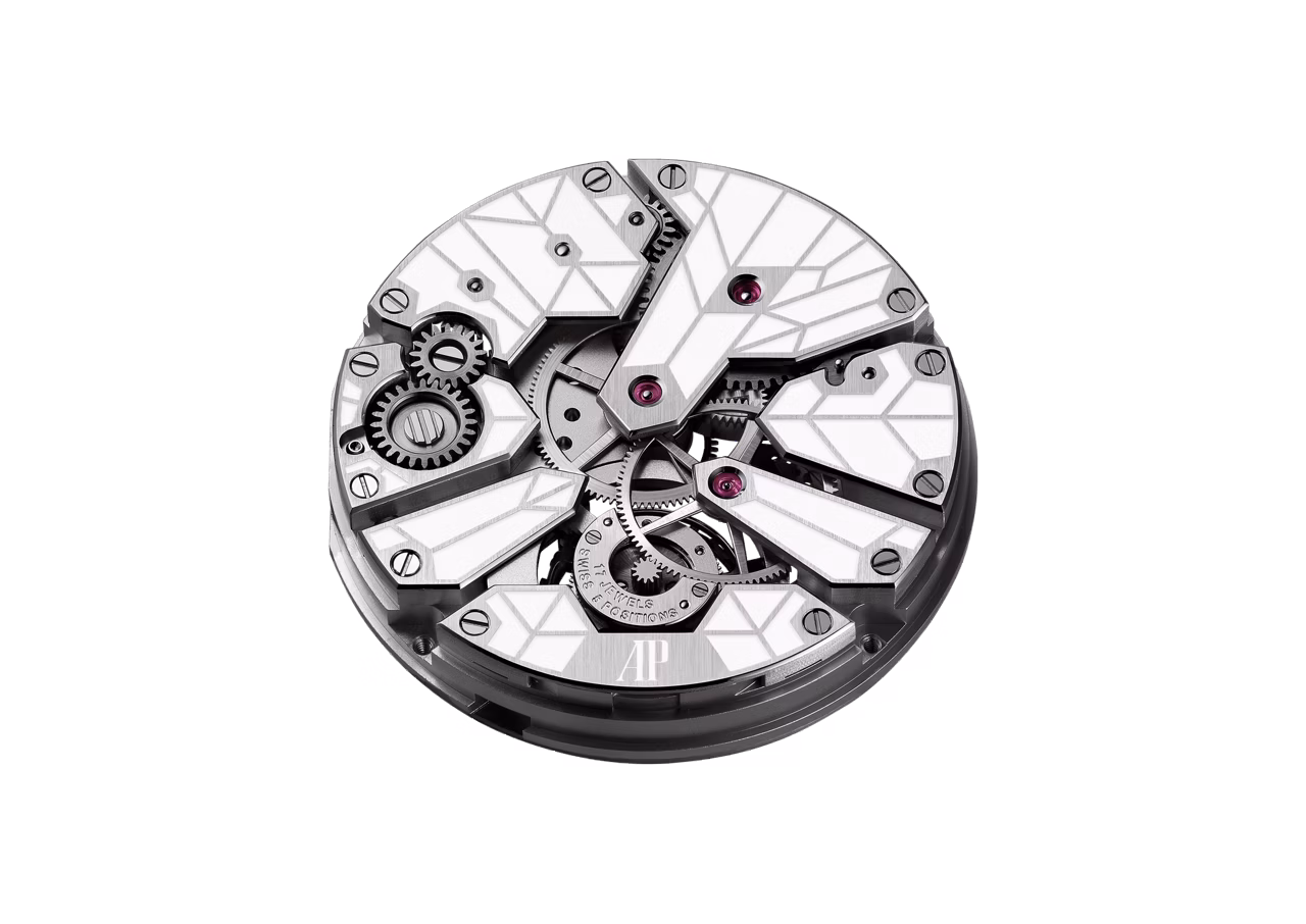 Immagine posteriore del calibro