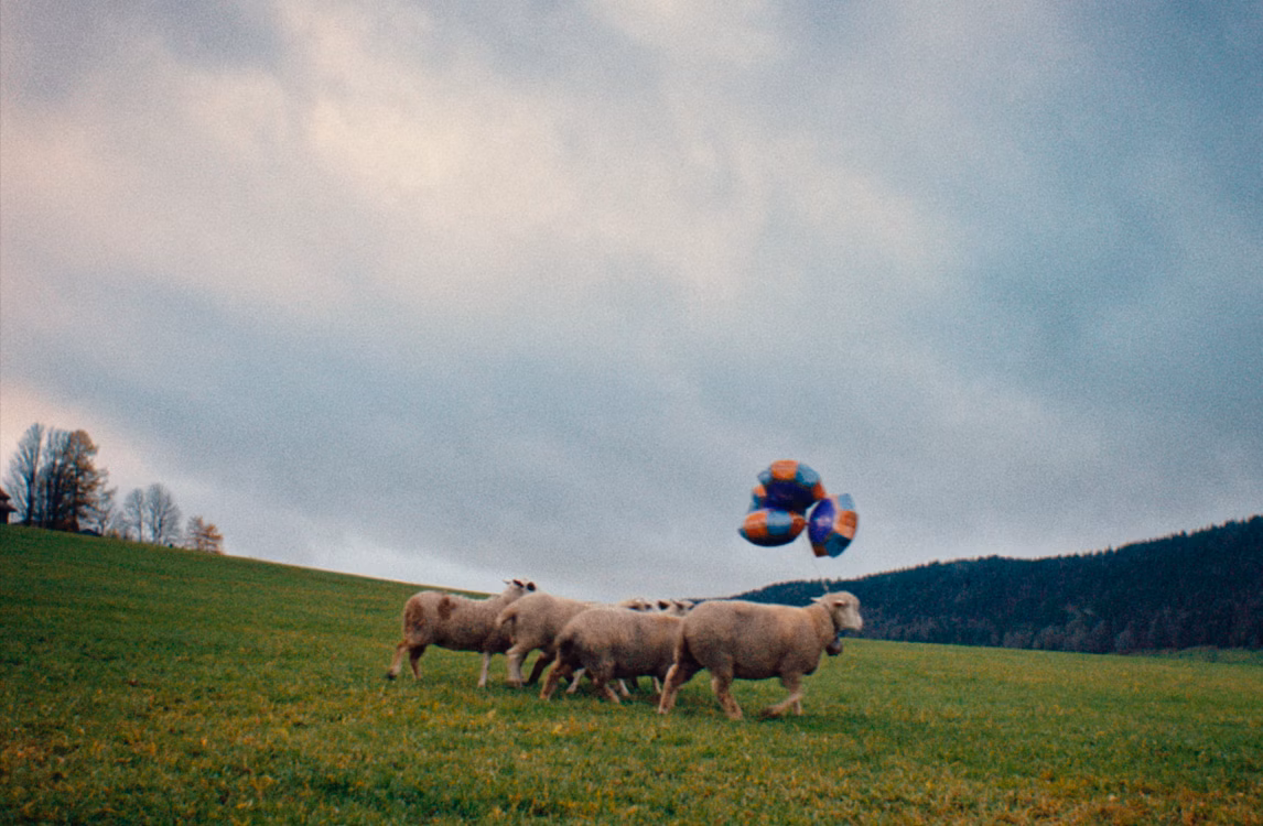 草原を進む羊の群れ、そのうち一頭が首に風船をつけている