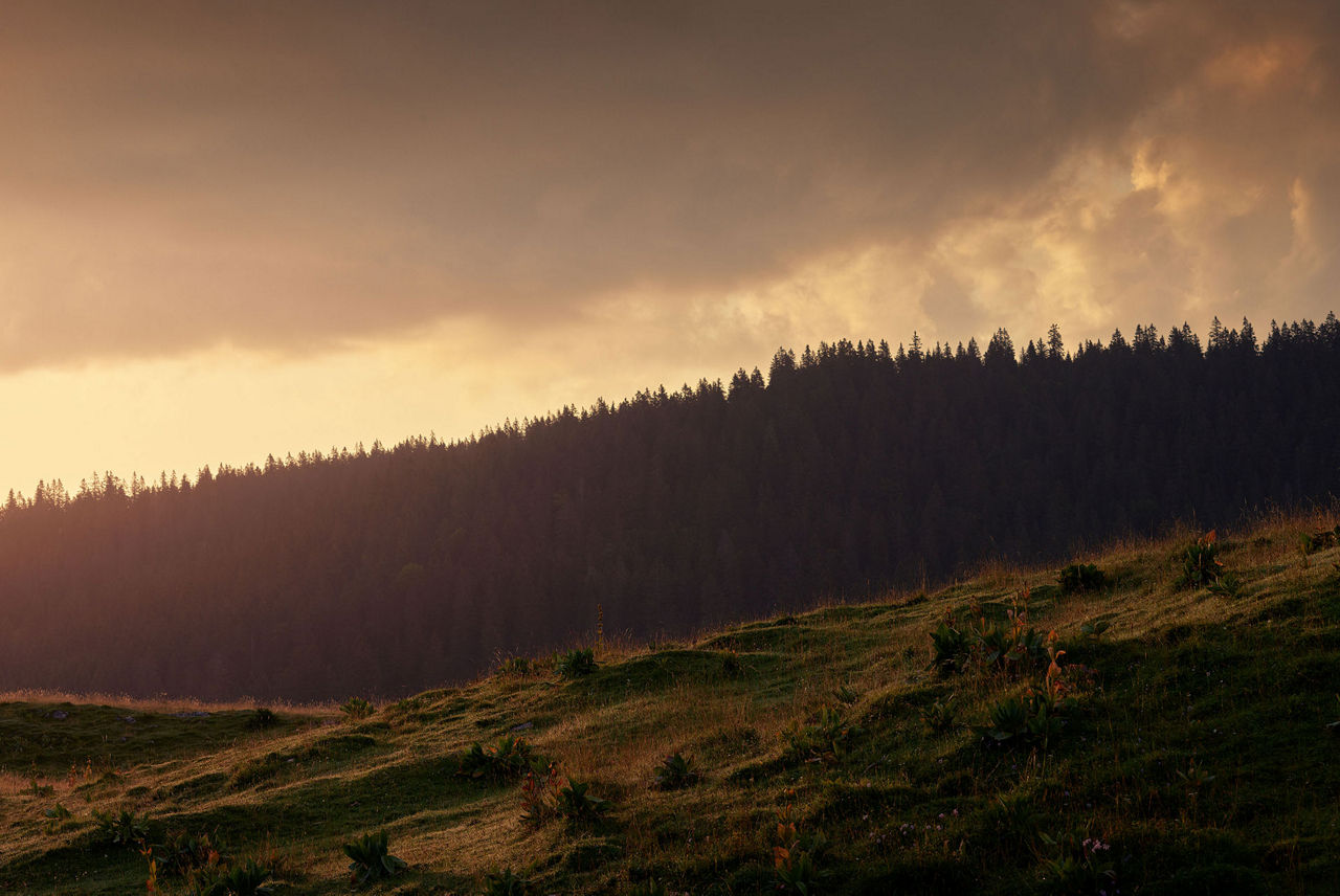 Landscape of the Vallée de Joux