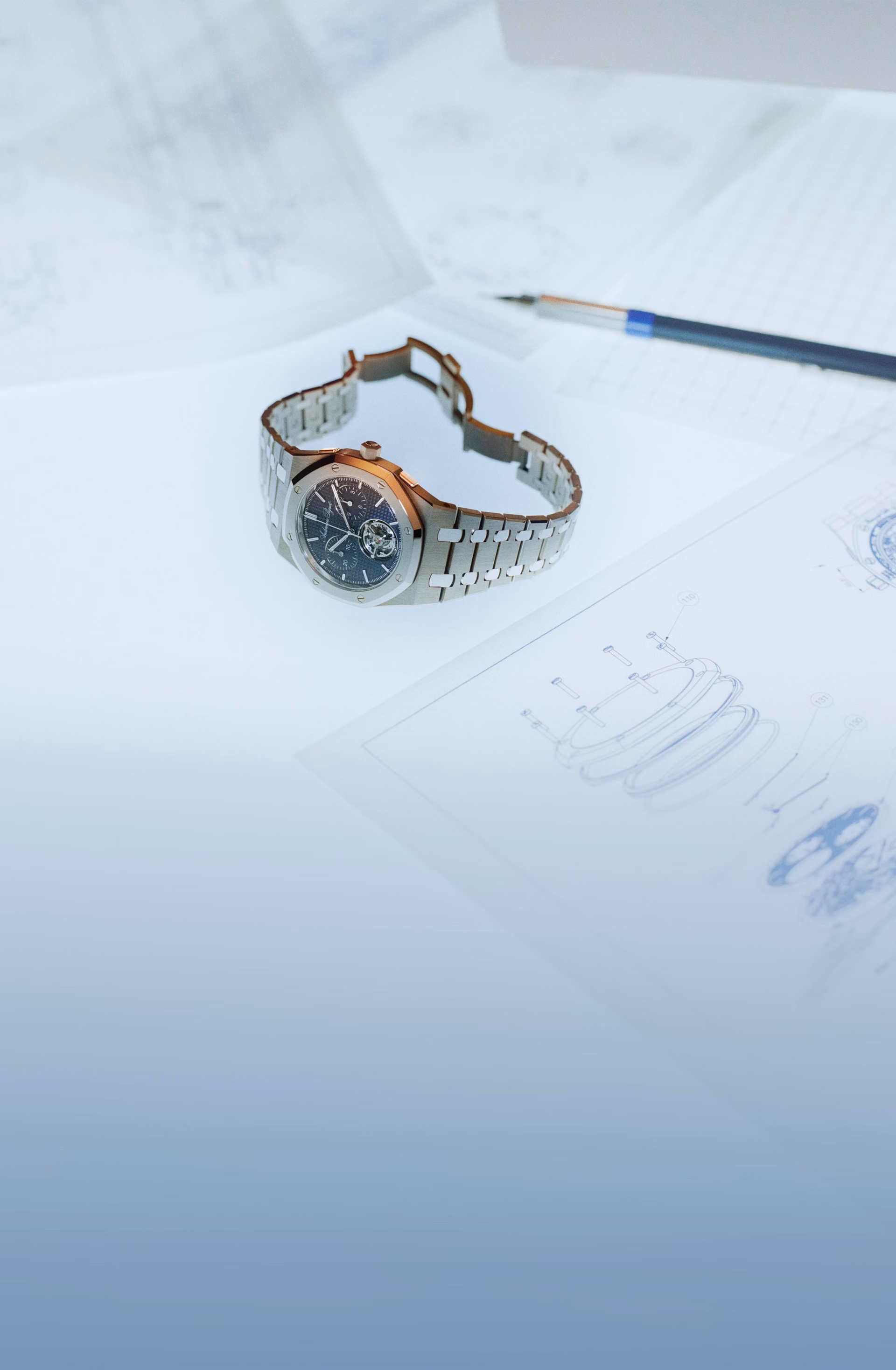 Aufnahme einer Royal Oak zur Demonstration des Know-hows