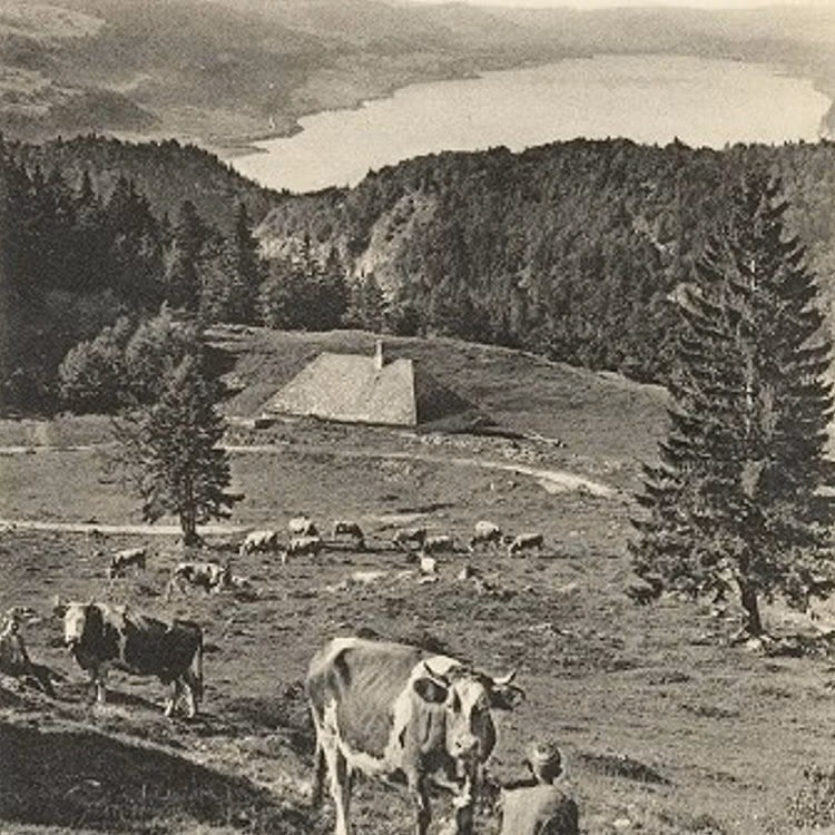 Postcard of the Vallée de Joux in 1890s