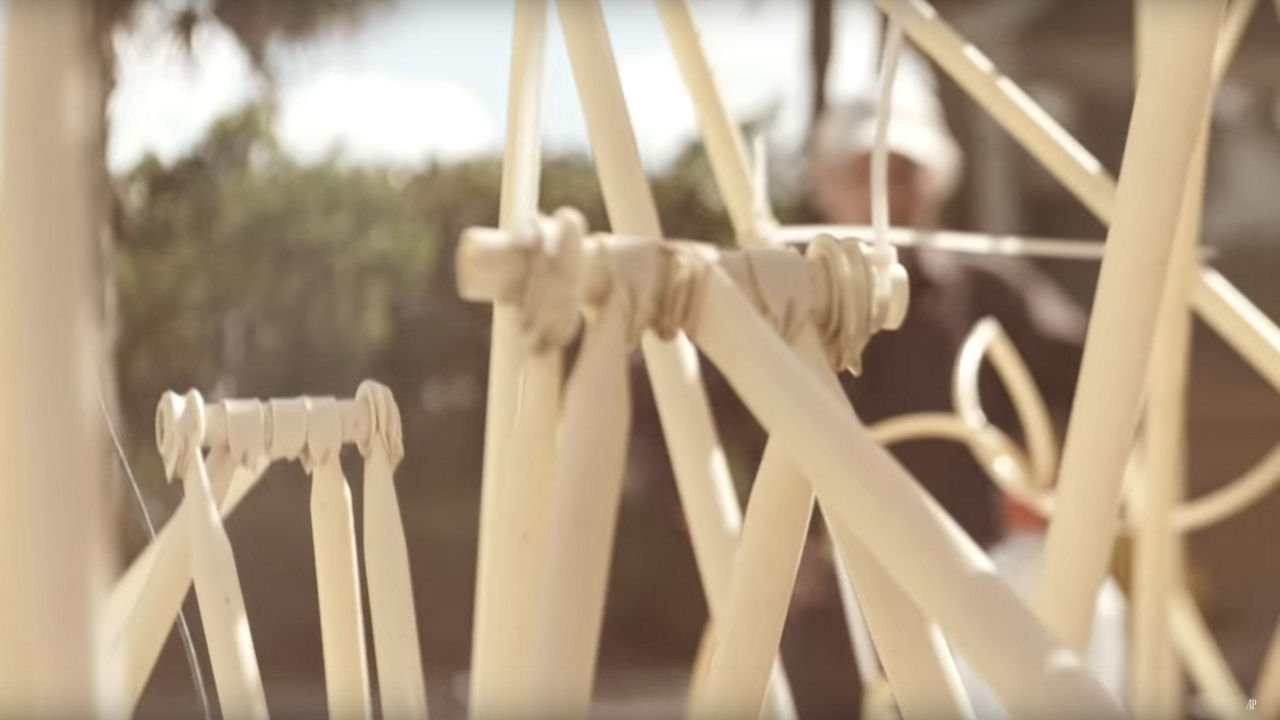 泰欧·扬森（Theo Jansen），《海滩仿生兽》（Strandbeest）