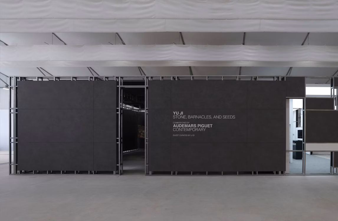 Instantánea del proyecto titulado «Stone, Barnacles, and Seeds» de Yu Ji (2022).