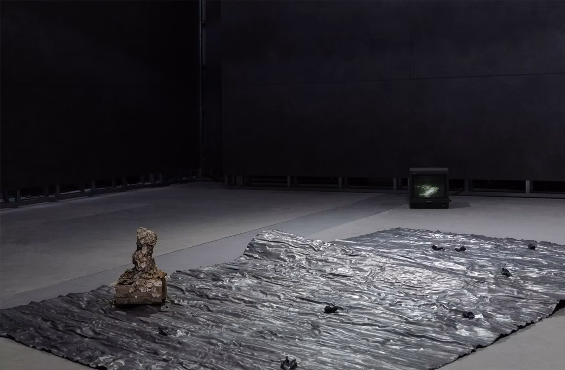 Instantánea del proyecto titulado «Stone, Barnacles, and Seeds» de Yu Ji (2022).