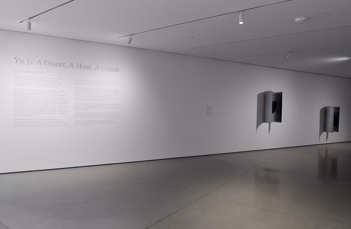 藝術家作品概觀